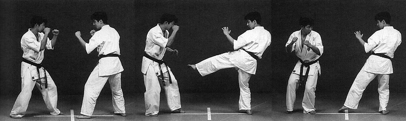 Illustration for article titled The Road to Black Belt: The Terror of the Low Kick